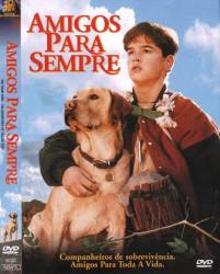 DVD AMIGOS PARA SEMPRE - 1995